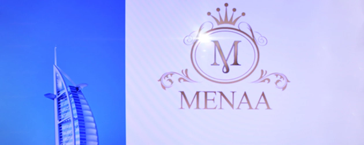 The 3rd Annual MENAA Awards